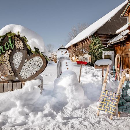 Appartamento Biobauernhof Brandlhof Ramsau am Dachstein Esterno foto