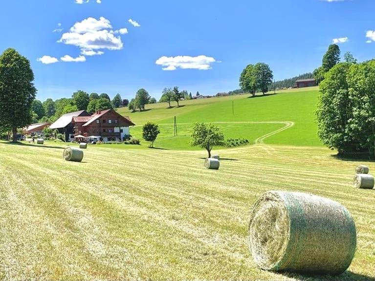 Appartamento Biobauernhof Brandlhof Ramsau am Dachstein Esterno foto
