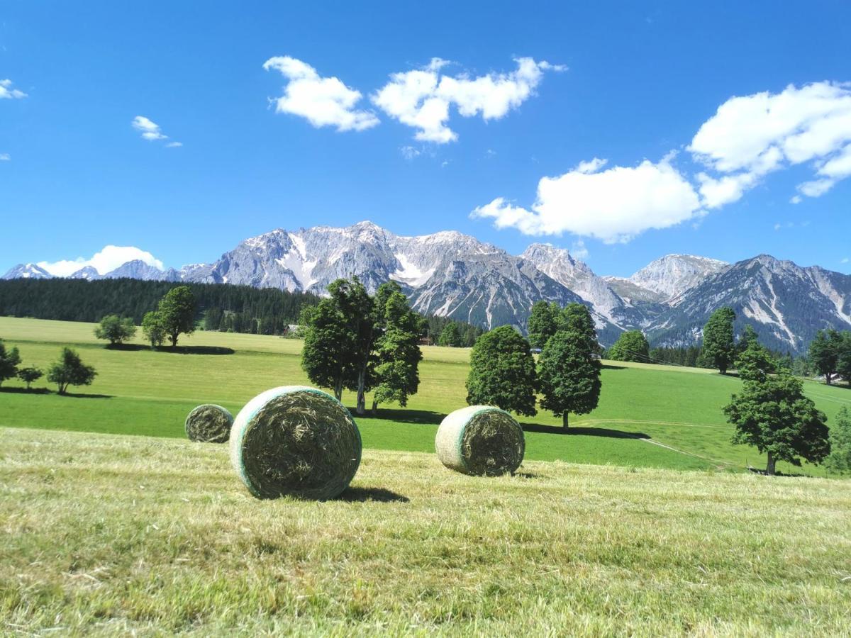 Appartamento Biobauernhof Brandlhof Ramsau am Dachstein Esterno foto