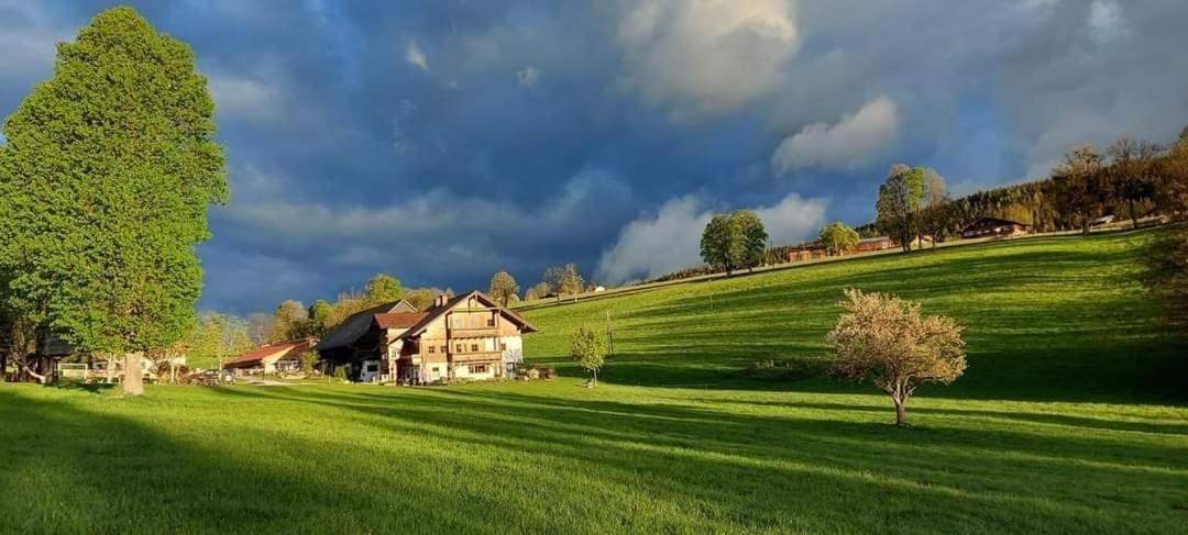 Appartamento Biobauernhof Brandlhof Ramsau am Dachstein Esterno foto