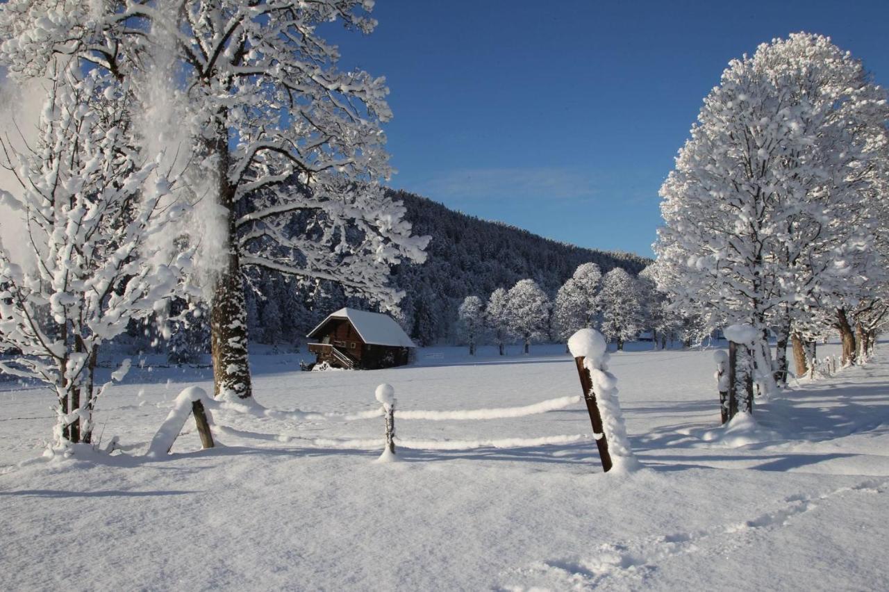 Appartamento Biobauernhof Brandlhof Ramsau am Dachstein Esterno foto