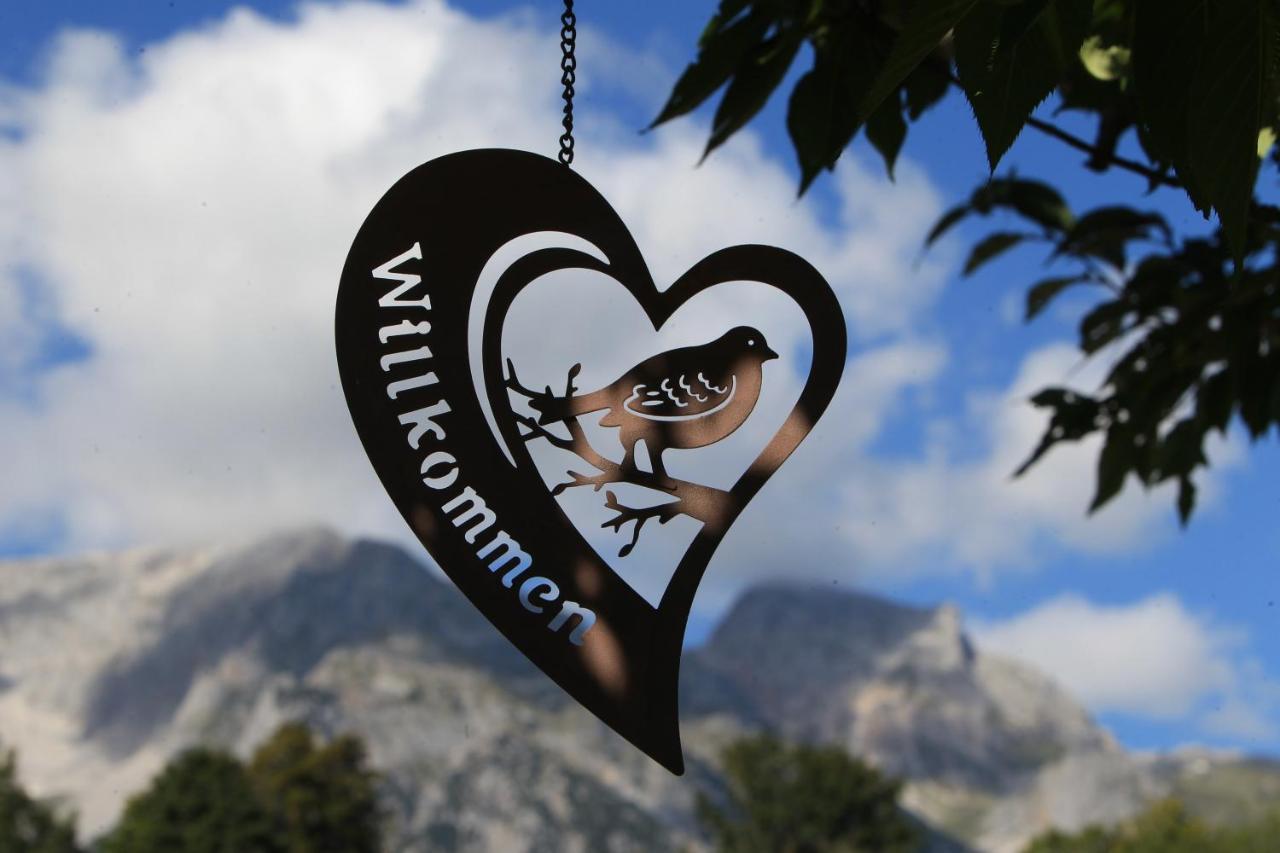 Appartamento Biobauernhof Brandlhof Ramsau am Dachstein Esterno foto