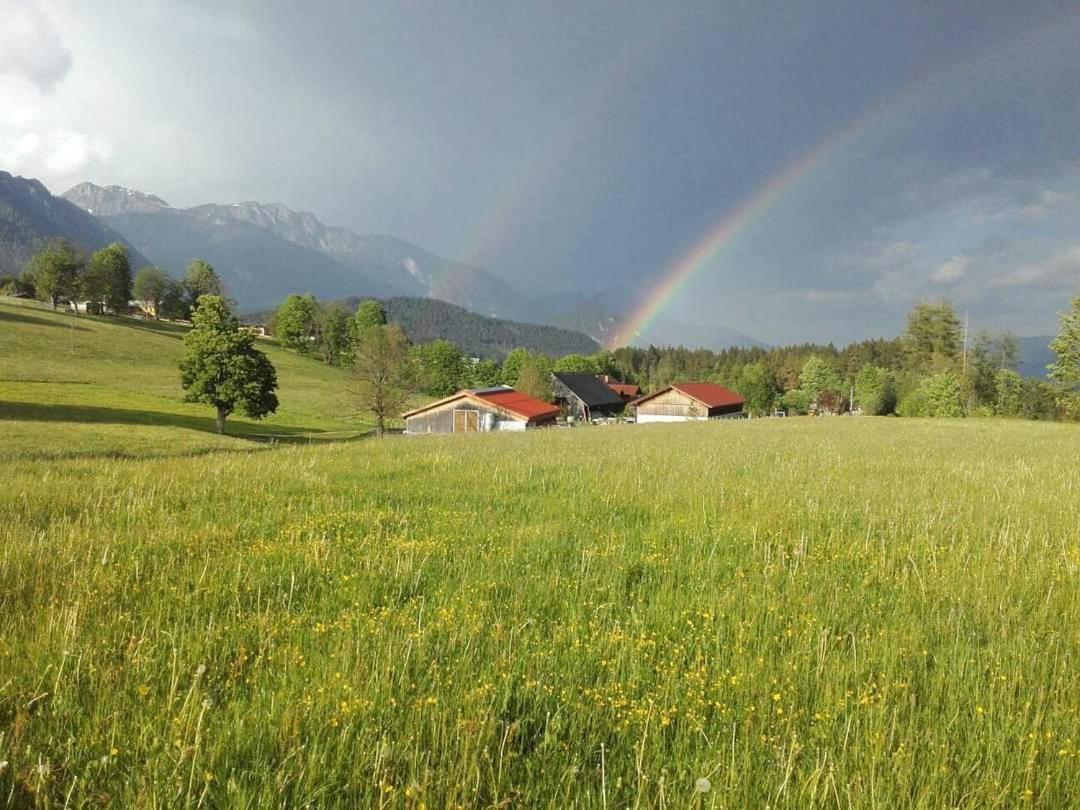 Appartamento Biobauernhof Brandlhof Ramsau am Dachstein Esterno foto