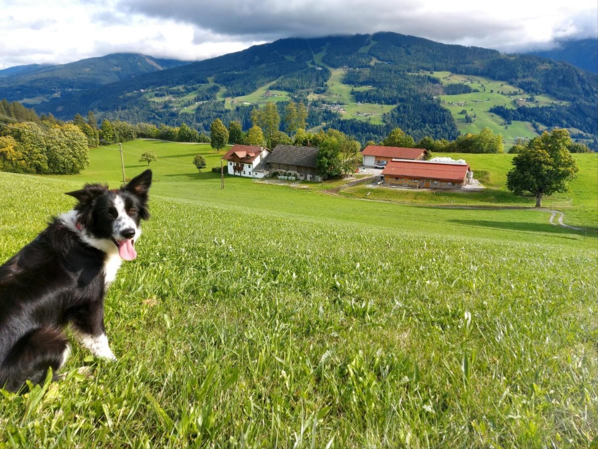 Appartamento Biobauernhof Brandlhof Ramsau am Dachstein Esterno foto