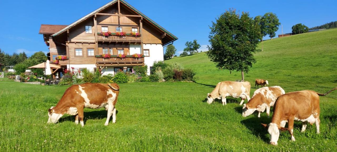 Appartamento Biobauernhof Brandlhof Ramsau am Dachstein Esterno foto