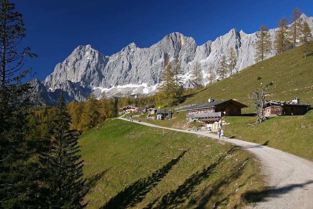 Appartamento Biobauernhof Brandlhof Ramsau am Dachstein Esterno foto