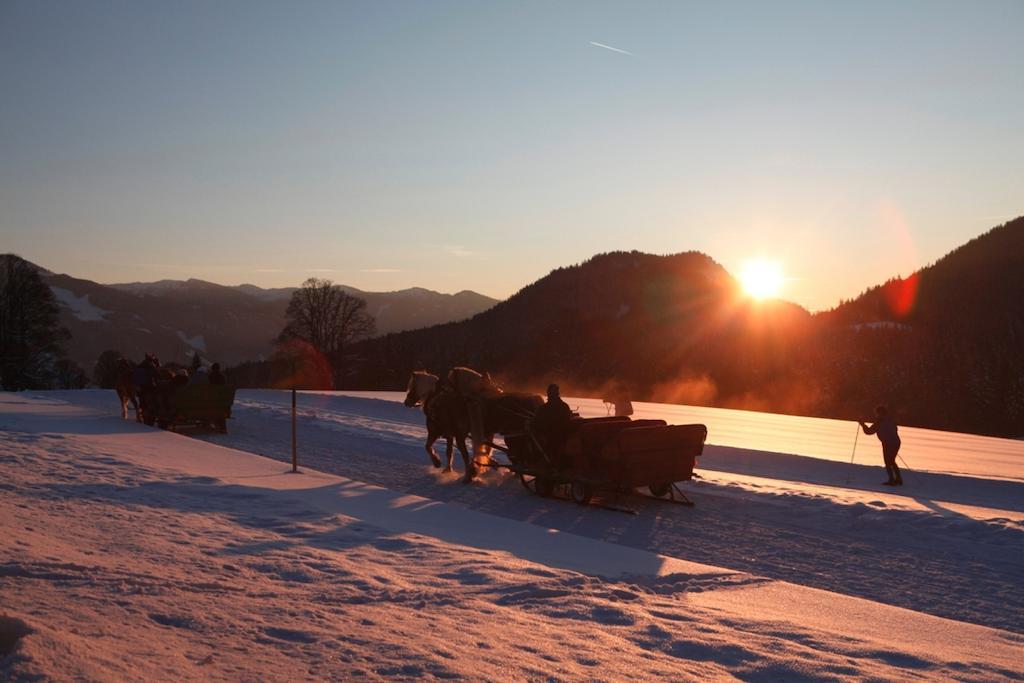 Appartamento Biobauernhof Brandlhof Ramsau am Dachstein Esterno foto